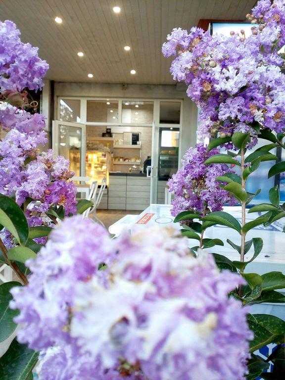 Dream House Hotel Tsarevo Bagian luar foto