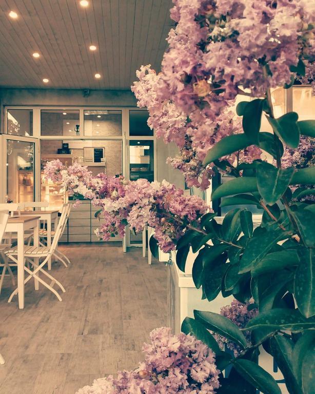Dream House Hotel Tsarevo Bagian luar foto
